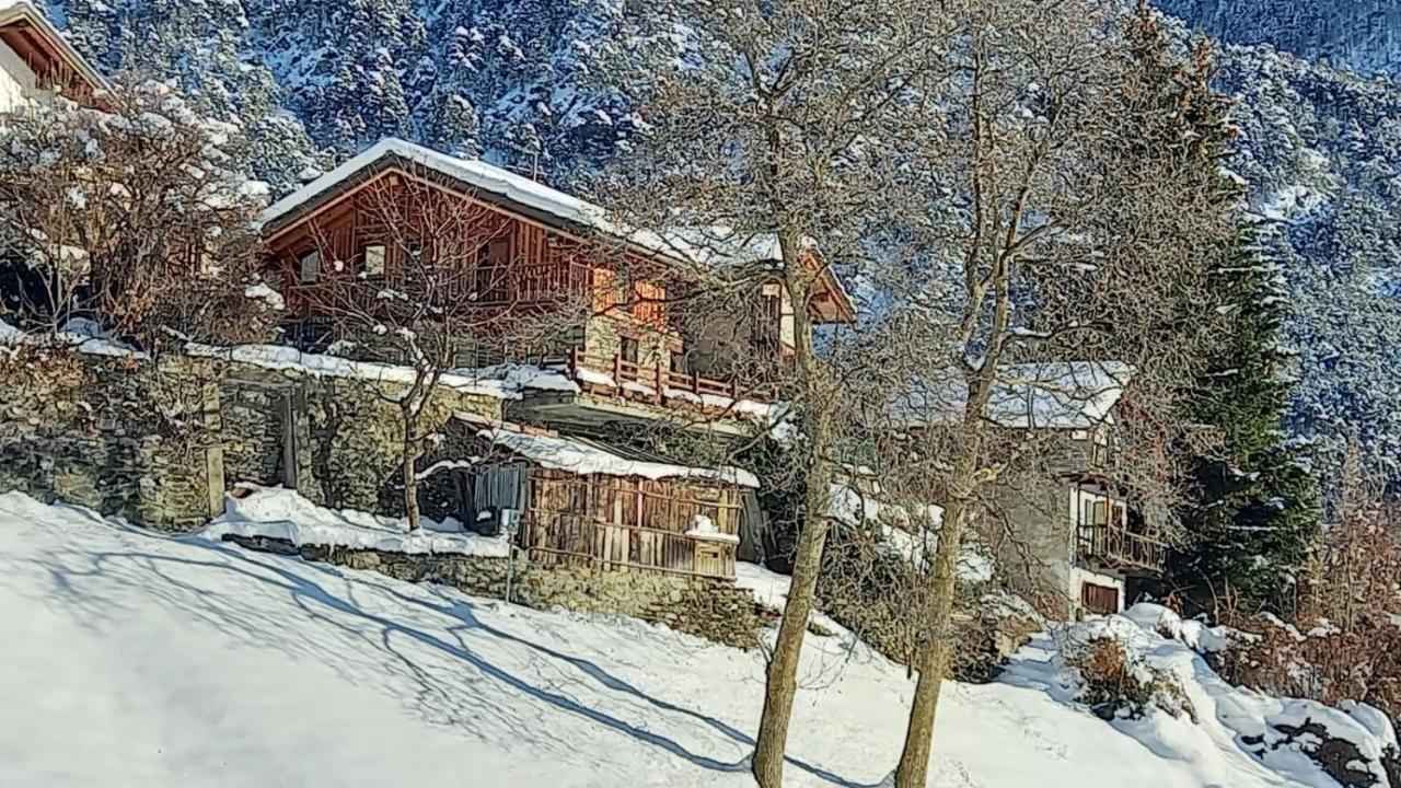 Eco Chalet Maison Dominique Challand-Saint-Anselme المظهر الخارجي الصورة